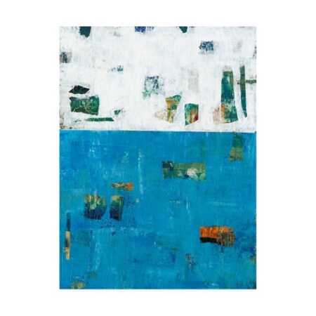 Trademark Fine Art Tim Otoole 'Patches I' Canvas Art, 18x24 WAG11520-C1824GG
